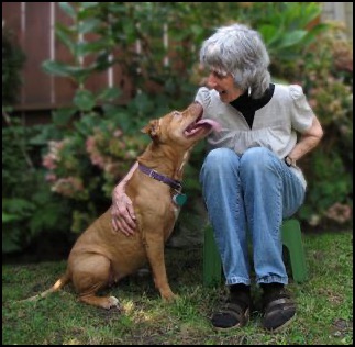 Woman sitting on stool communicating with dog looking up at her